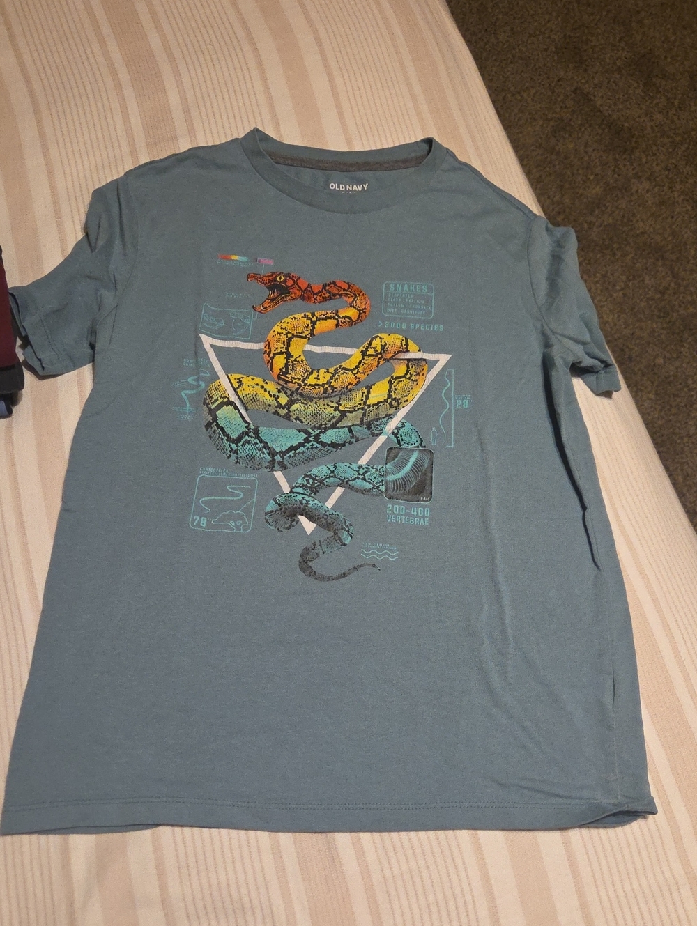 Old Navy Boy’s Blue Graphic Snake T-Shirt